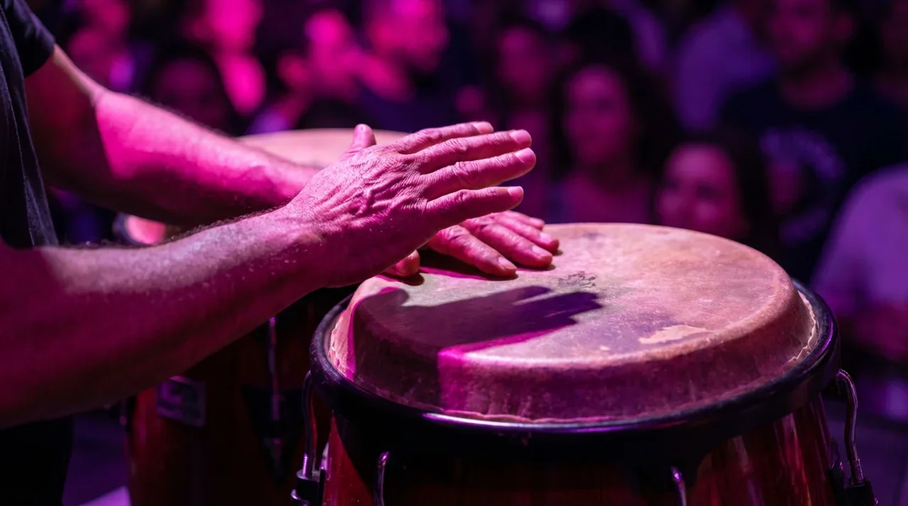 Miami Concerts & Live Music